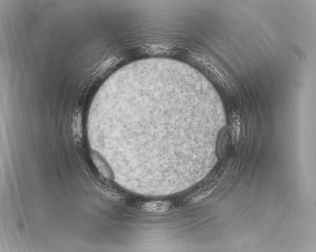 X0000115340700200911301548