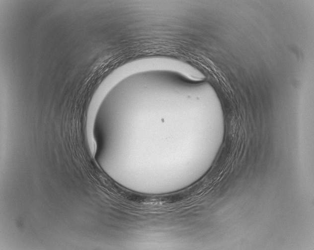 X0000115340701200911301548