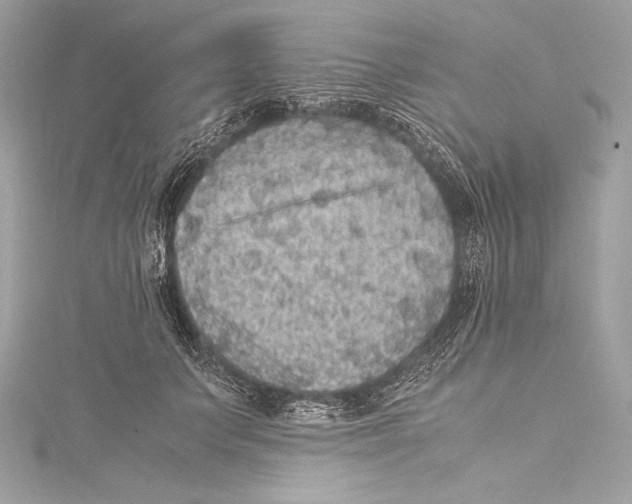 X0000115340703200911301548