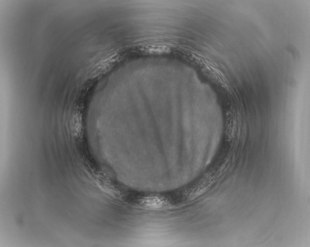 X0000115340704200911301548