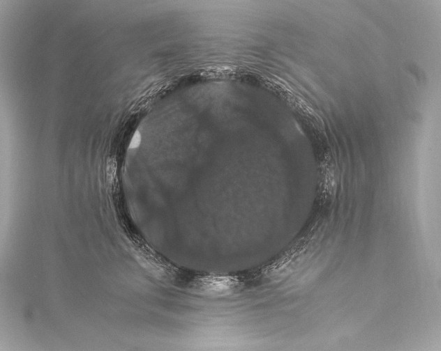 X0000115340711200911301548