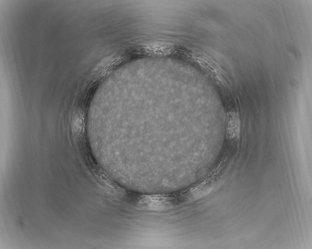 X0000115340713200911301548