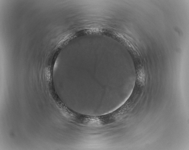 X0000115340715200911301548