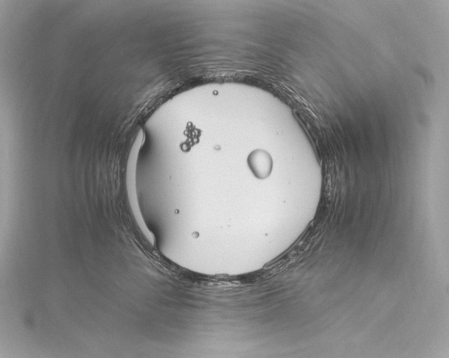 X0000115340716200911301548