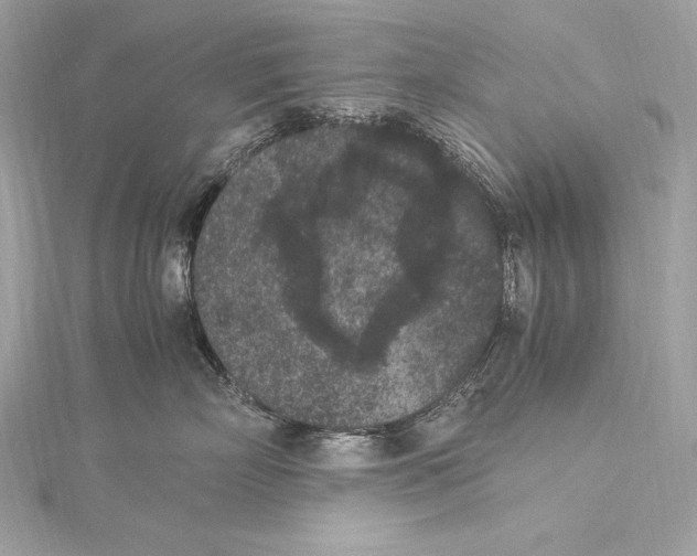 X0000115340718200911301548