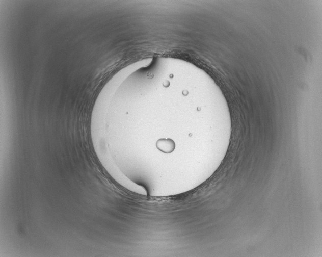 X0000115340720200911301548