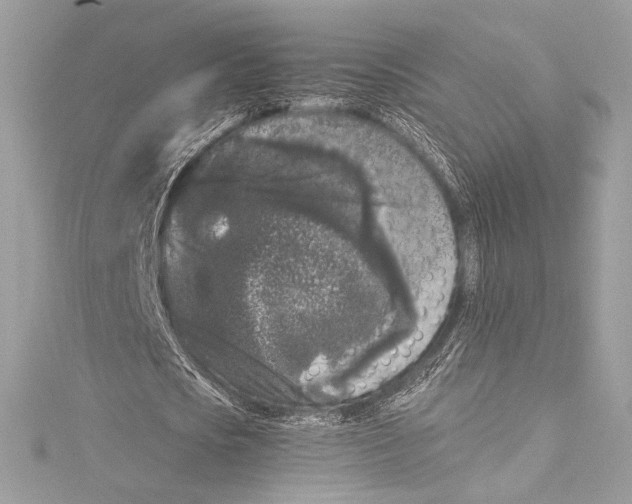 X0000115340721200911301547