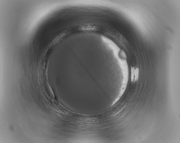 X0000115340723200911301547