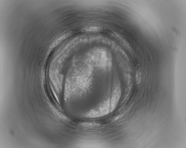 X0000115340725200911301547