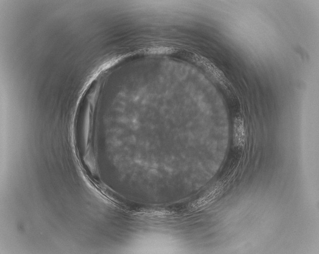 X0000115340726200911301547