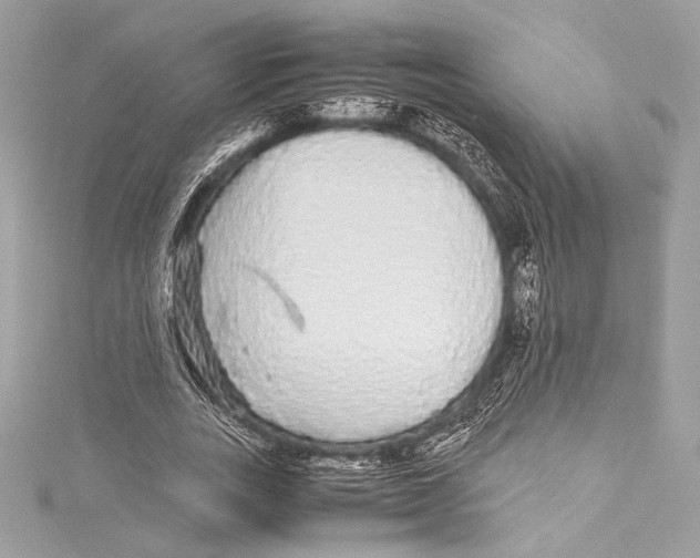 X0000115340727200911301547