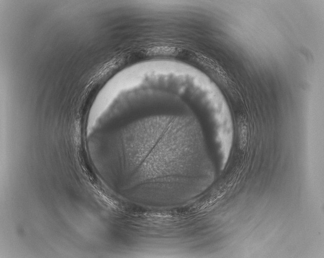 X0000115340729200911301547