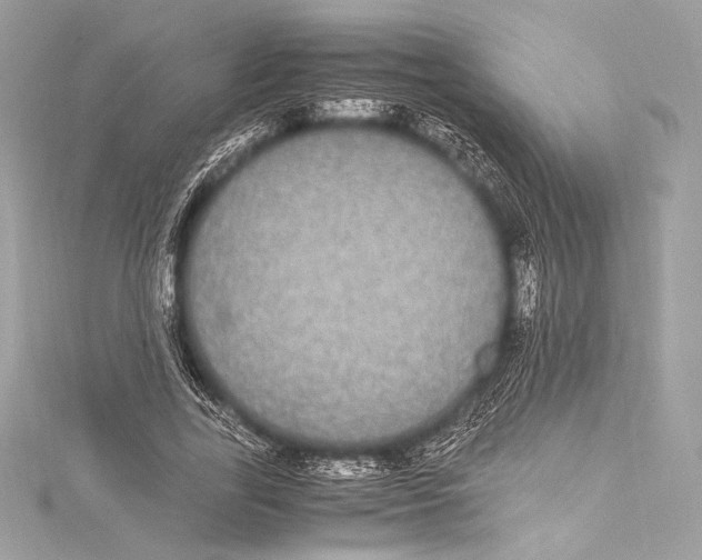 X0000115340731200911301547