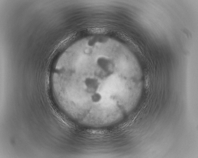 X0000115340733200911301547