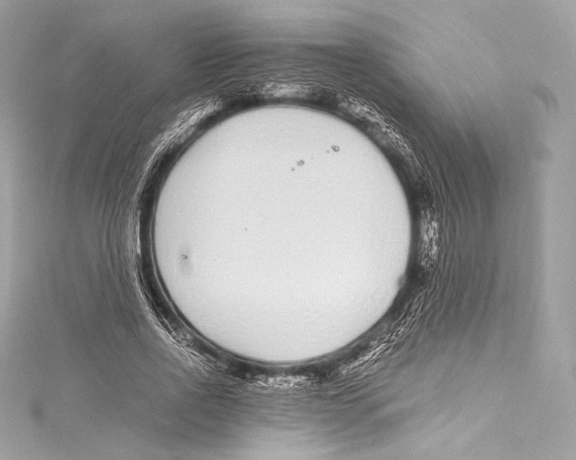 X0000115340734200911301547