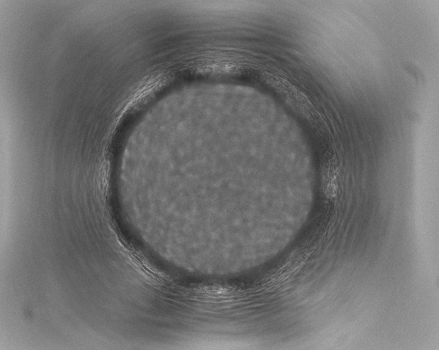 X0000115340735200911301547