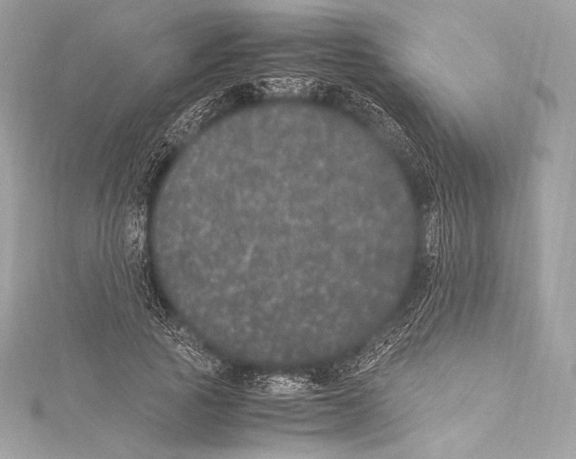 X0000115340737200911301547