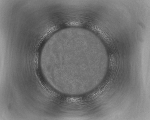 X0000115340739200911301547