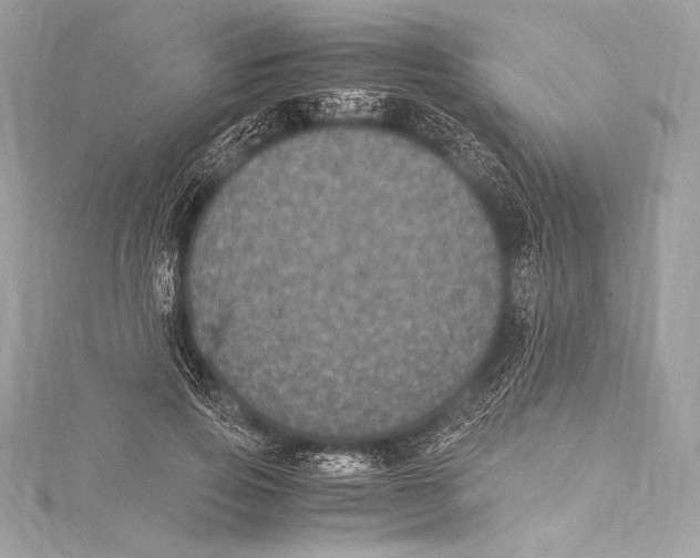 X0000115340741200911301547