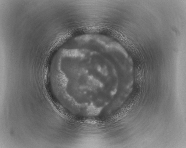 X0000115340742200911301547