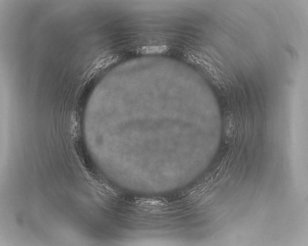 X0000115340743200911301547