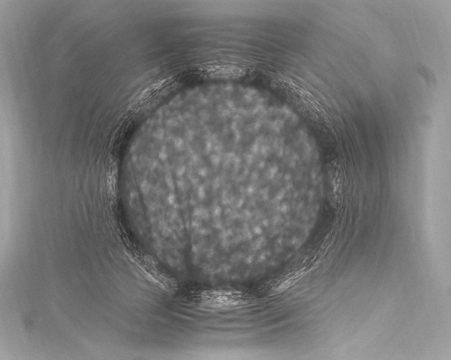 X0000115340745200911301547