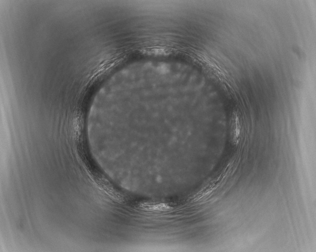 X0000115340747200911301547