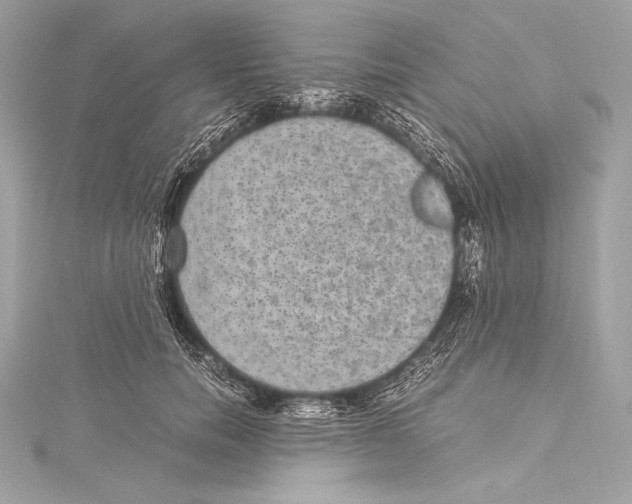 X0000115340750200911301547