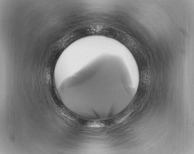 X0000115340754200911301547