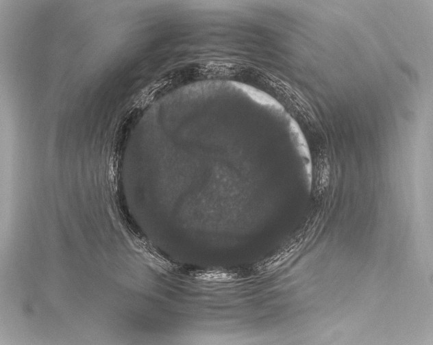 X0000115340759200911301547