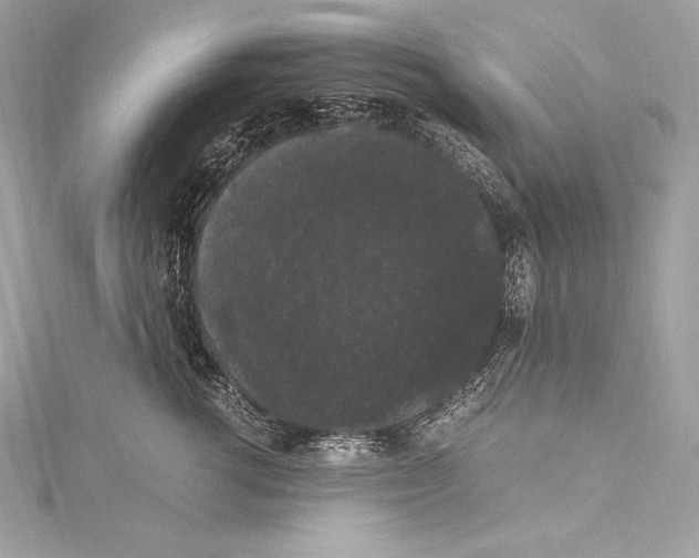 X0000115340762200911301547