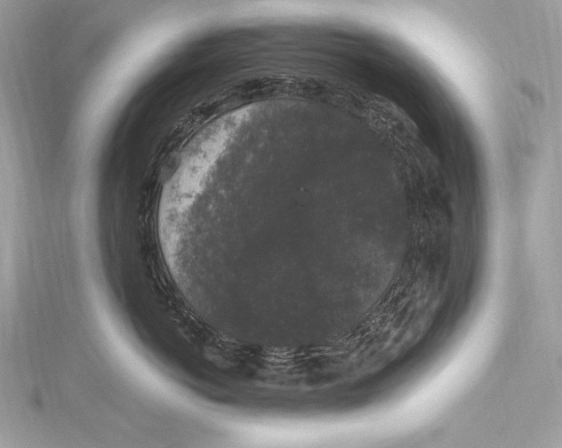 X0000115340766200911301548