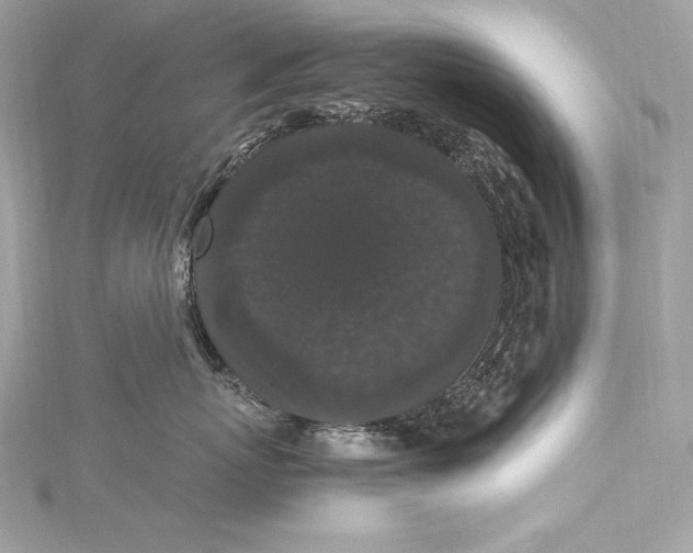 X0000115340767200911301548