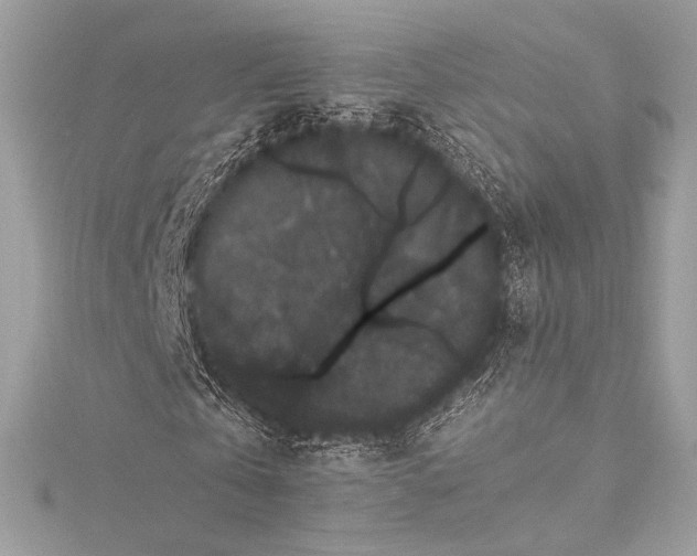 X0000115340769200911301547