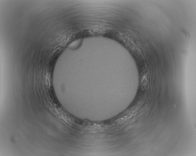 X0000115340772200911301547