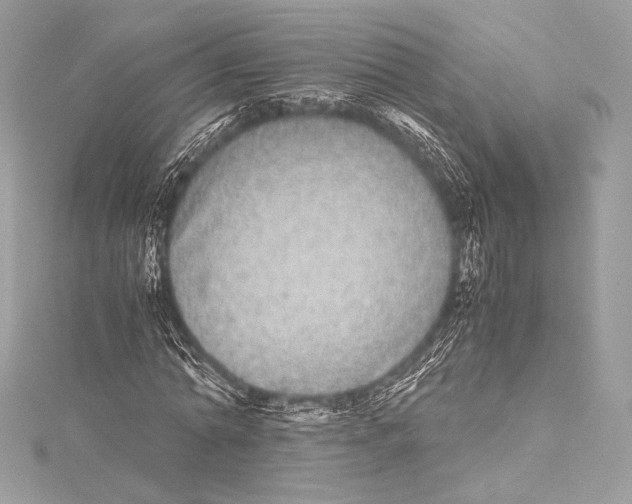 X0000115340774200911301547