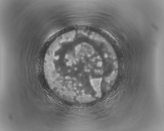 X0000115340775200911301547