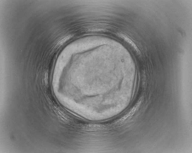 X0000115340777200911301547