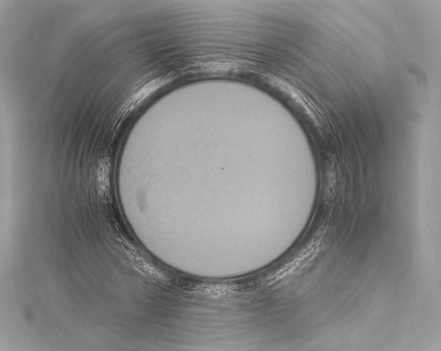 X0000115340778200911301547