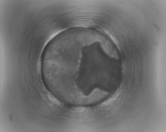 X0000115340779200911301547