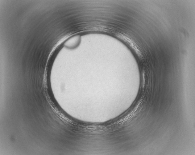 X0000115340780200911301547