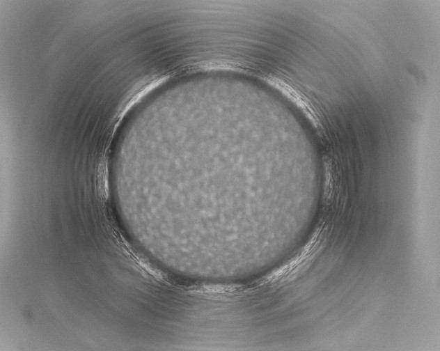 X0000115340782200911301547