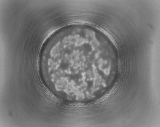 X0000115340783200911301547