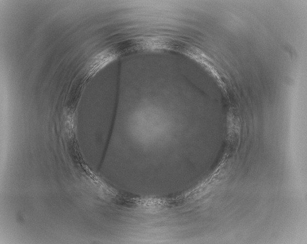 X0000115340785200911301547