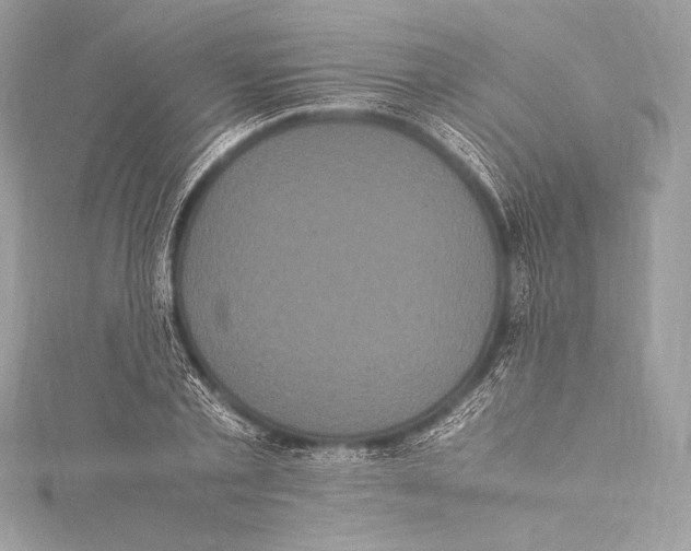 X0000115340789200911301547