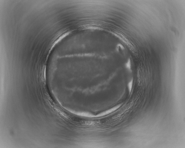 X0000115340790200911301547