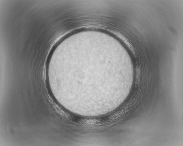 X0000115340791200911301547