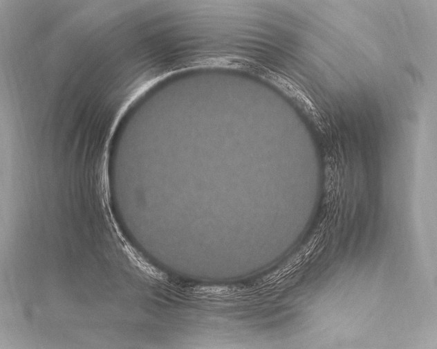 X0000115340792200911301547