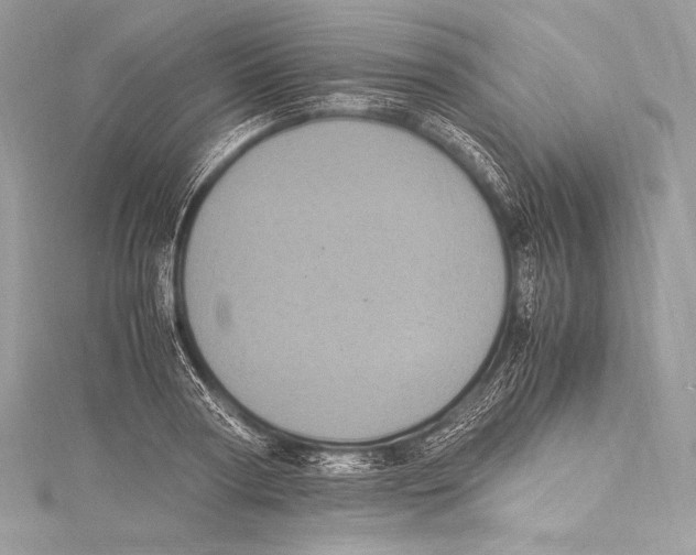 X0000115340794200911301547