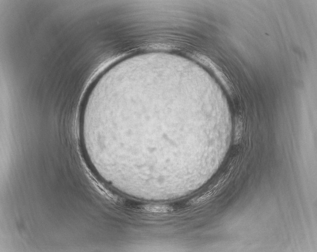 X0000115340795200911301547